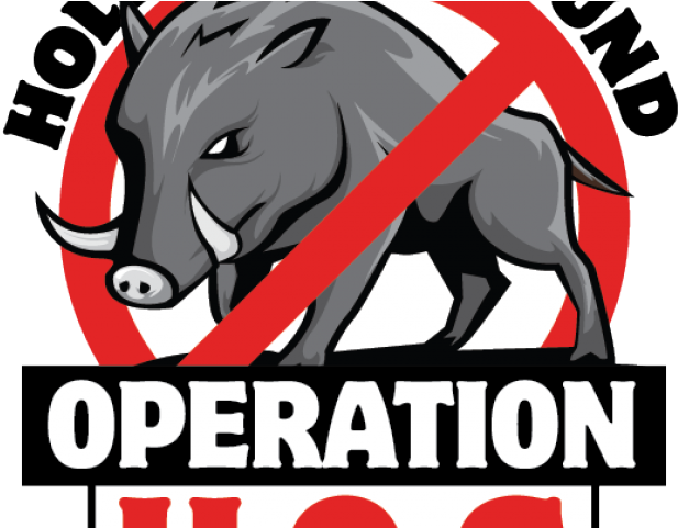 Mammal Clipart Mississippi State Water (640x480), Png Download