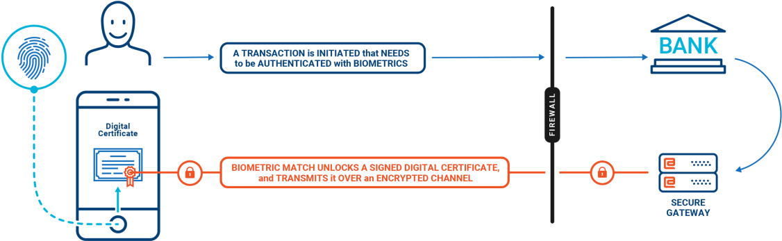 Biometric Enablement - Diagram (1140x346), Png Download