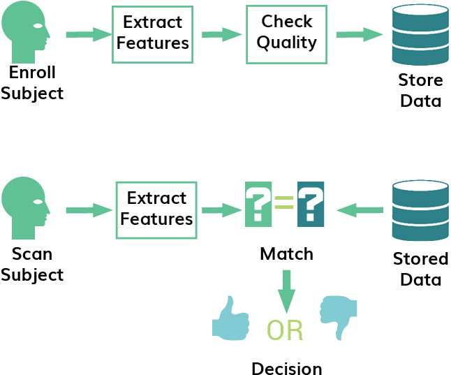 Biometric Enrollment And Authentication - Diagram (792x648), Png Download