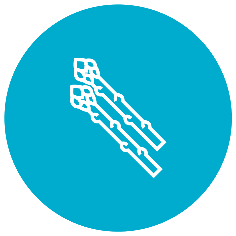 Icon - Rotary Peace Area Of Focus (1042x1042), Png Download