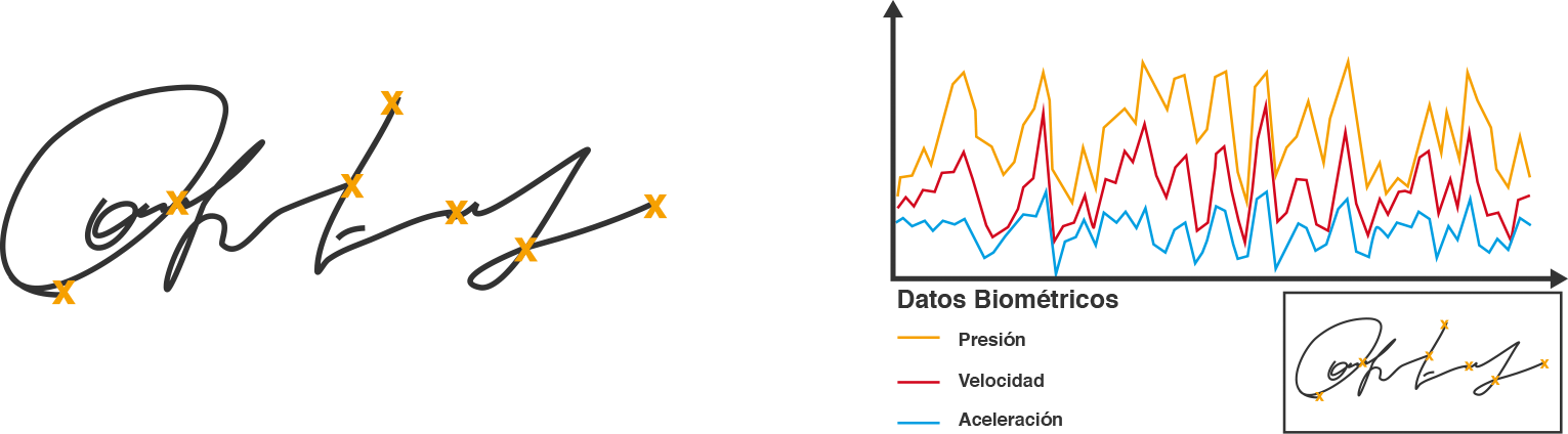 Biometric Signature - Firma Biometrica Png (1531x424), Png Download