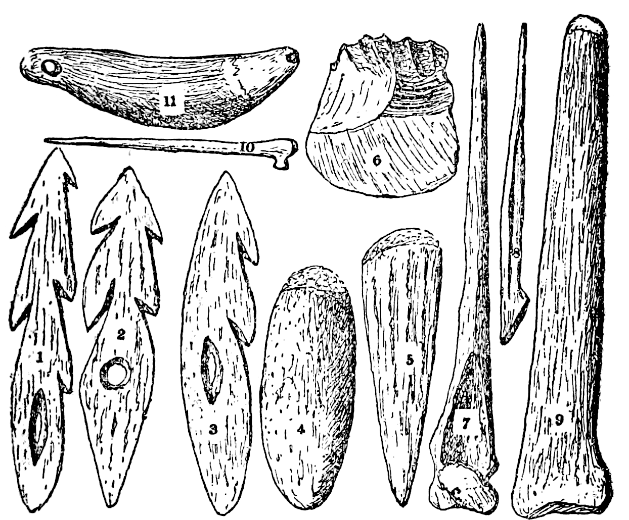 File Britain Fig Png - Sketch (1244x1040), Png Download