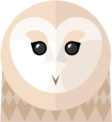Barn Owl (868x868), Png Download