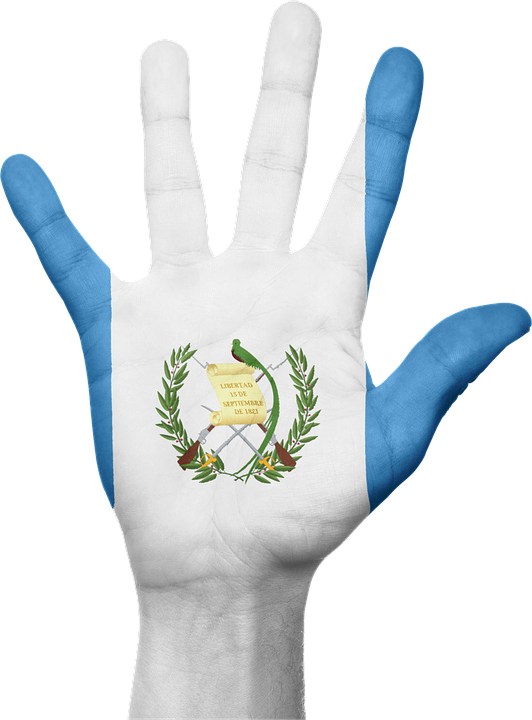 Guatemala, Flag, Hand, National, Fingers, Patriotic - De Bandera De Guatemala Full Hd (532x720), Png Download