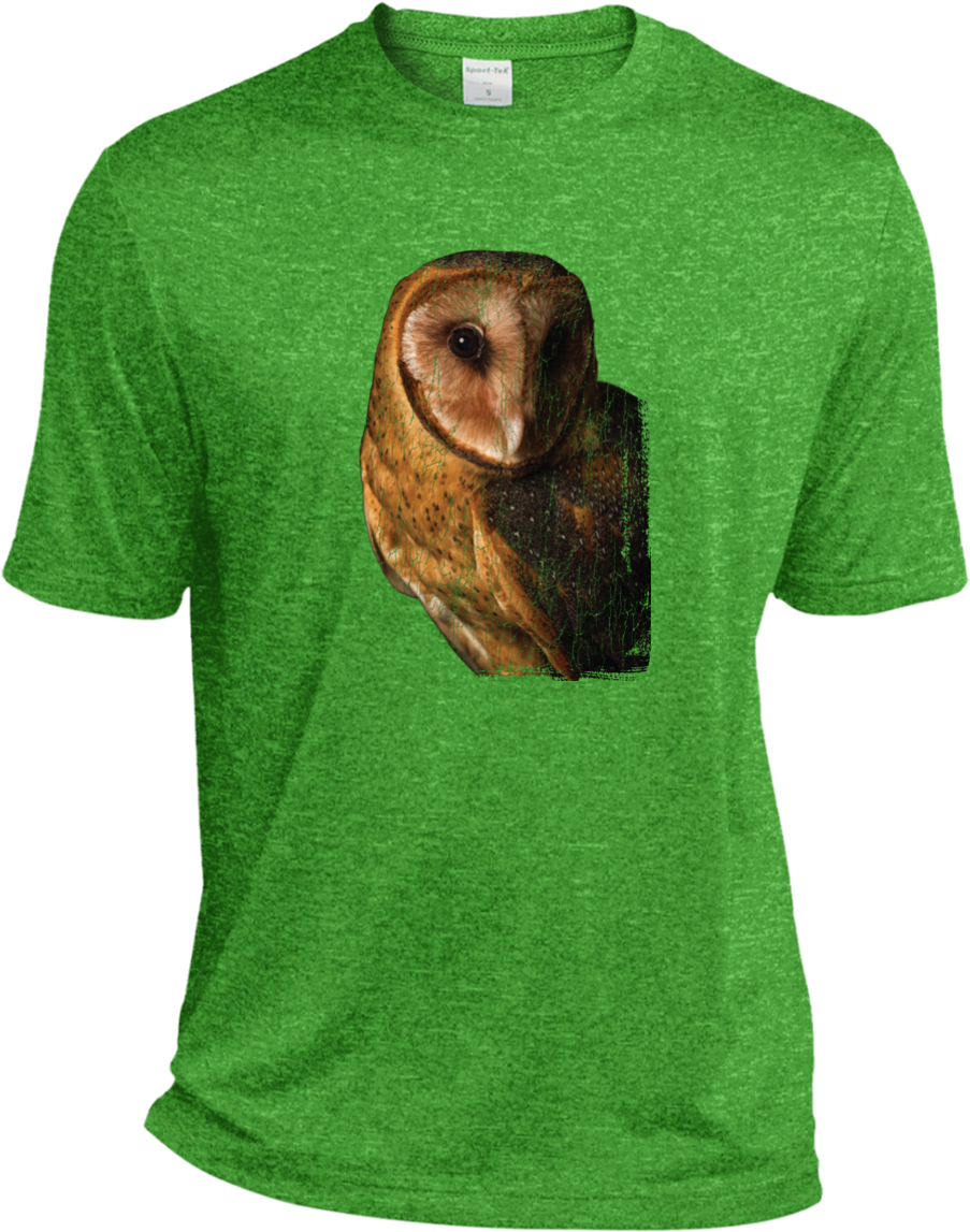 Barn Owl Face Dri Fit Moisture Wicking T Shirt - T-shirt (1155x1155), Png Download
