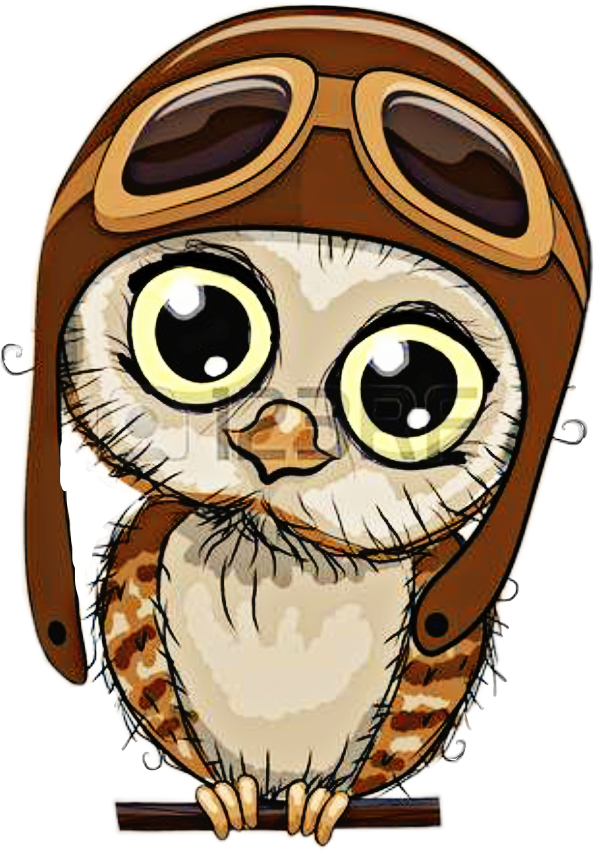 Barn Owl Clipart Cute Anime - Cartoon Owl (595x851), Png Download