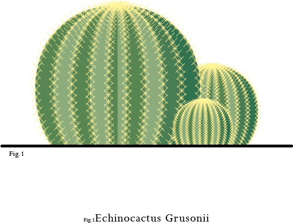 Portrayed In Soft Pastel Colors With Almost Geometrical - Prickly Pear (600x922), Png Download