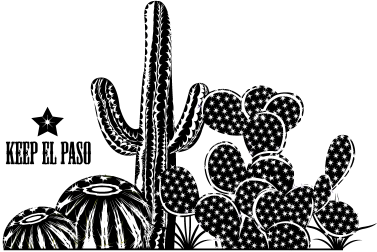 Bold, Playful Vector Design For Drennan Enterprises - Hedgehog Cactus (1200x1000), Png Download