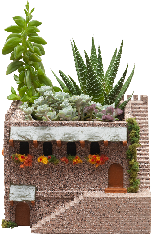 Mini Succulent Planter Psd - Flowerpot (1024x768), Png Download