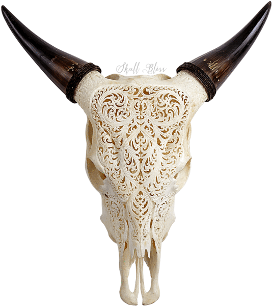 Carved Cow Skull - Carved Cow Skulls (645x645), Png Download