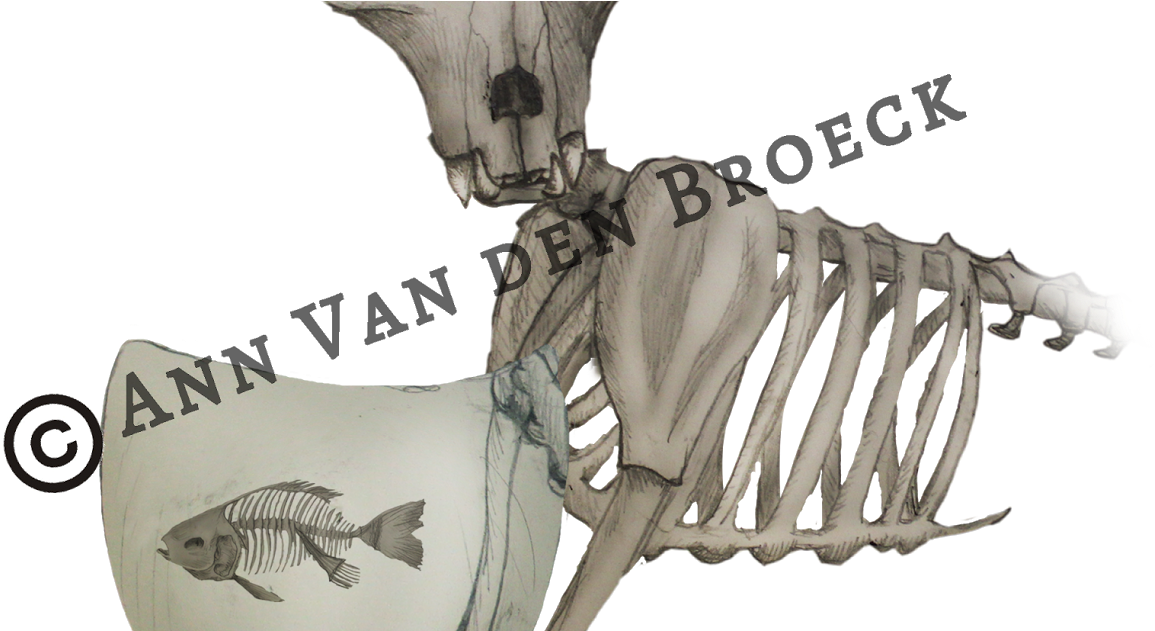 Skeleton (1200x630), Png Download