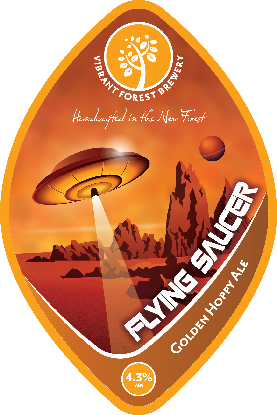 Flying Saucer - Cd (1147x1719), Png Download