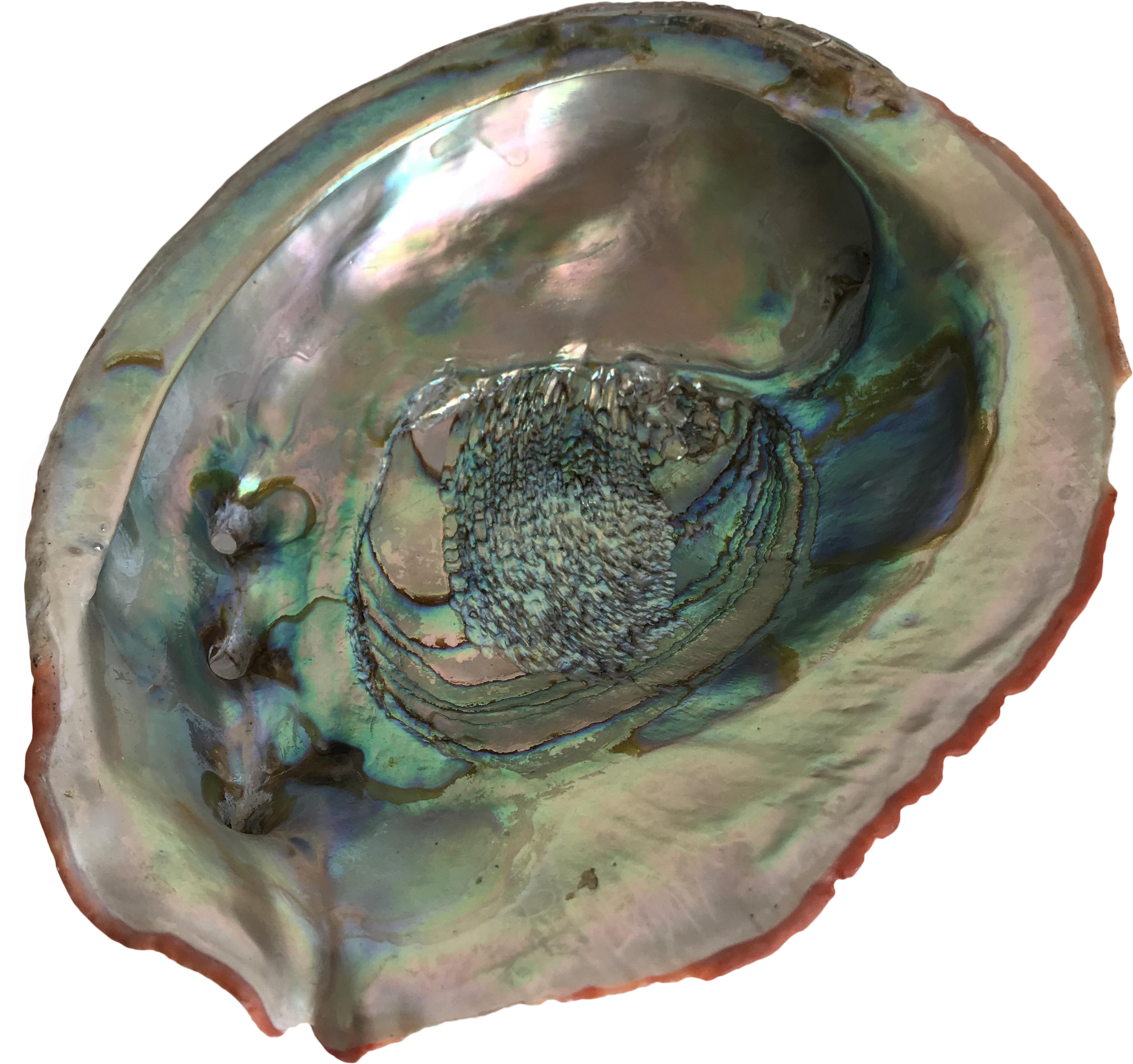 2946 X 2764 1 - Circle (2946x2764), Png Download