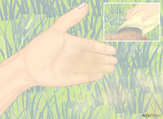Made Recently - Grass (670x491), Png Download