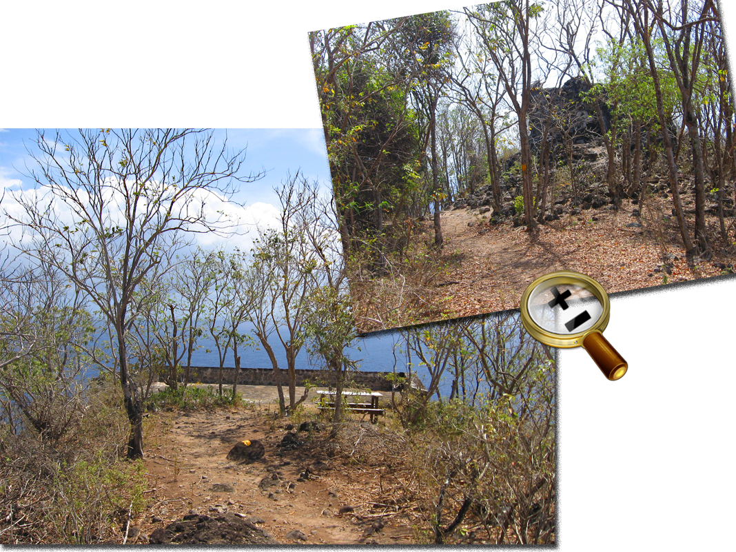 Batterie Caroline - Grass (1068x801), Png Download