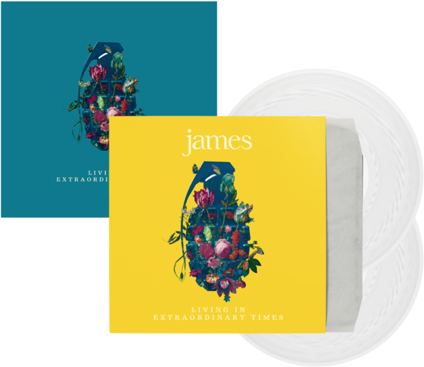 James ~ Living In Extraordinary Times ~ Rare Signed - James Living In Extraordinary Times Vinyl (640x640), Png Download