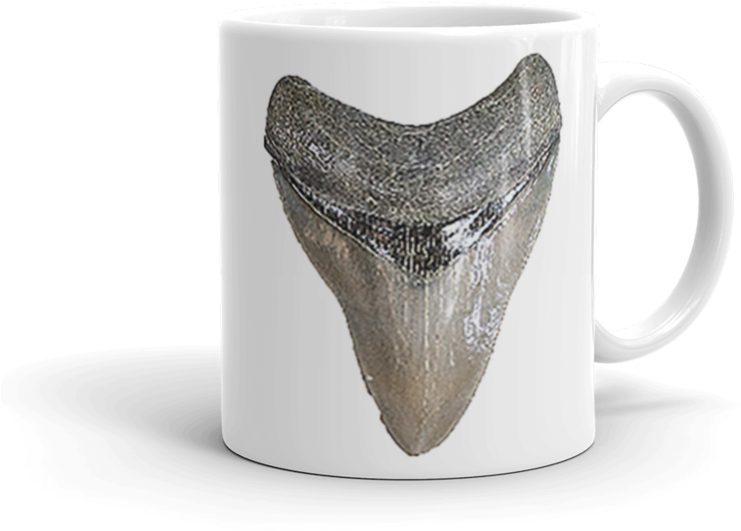 Megaladon Shark Tooth Mug - Mug (850x850), Png Download