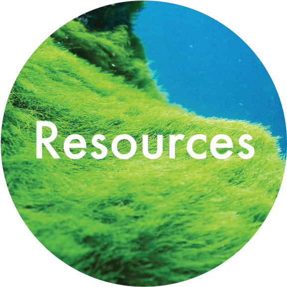 Resources-05 - Circle (764x713), Png Download