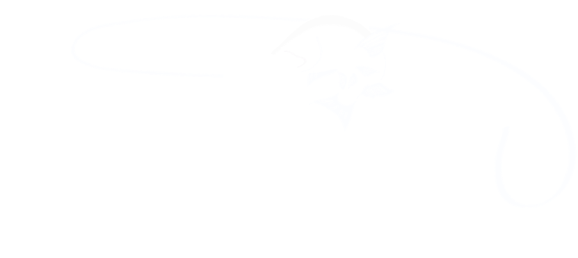 Grayton Girl White - Calligraphy (1000x381), Png Download