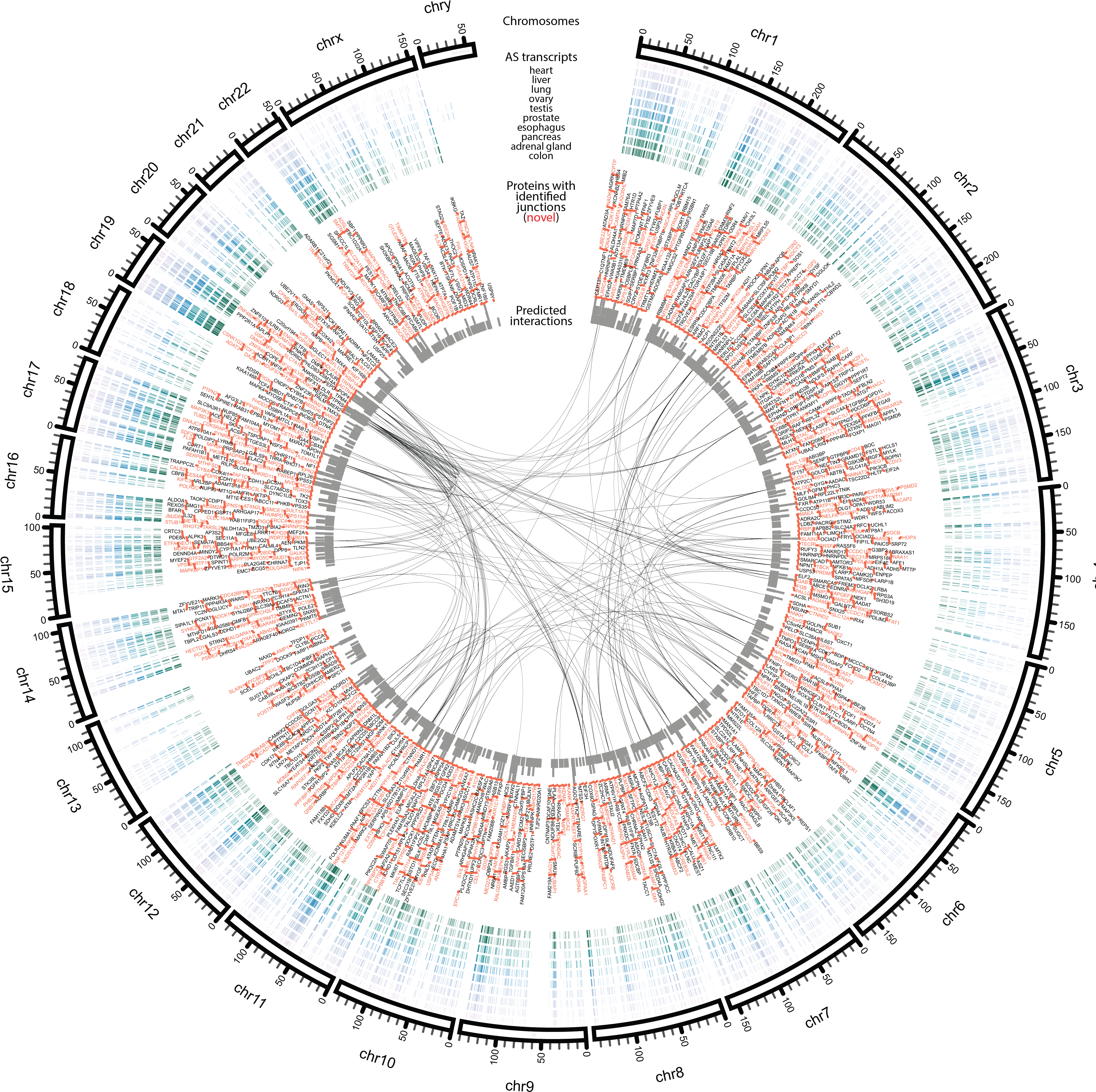 Lab Receives 5-year R01 Funding - Circle (4381x4397), Png Download