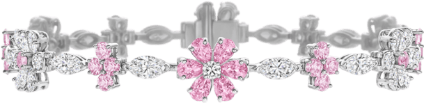 Main Navigation Section - Harry Winston Jewellery Illustrations (760x500), Png Download