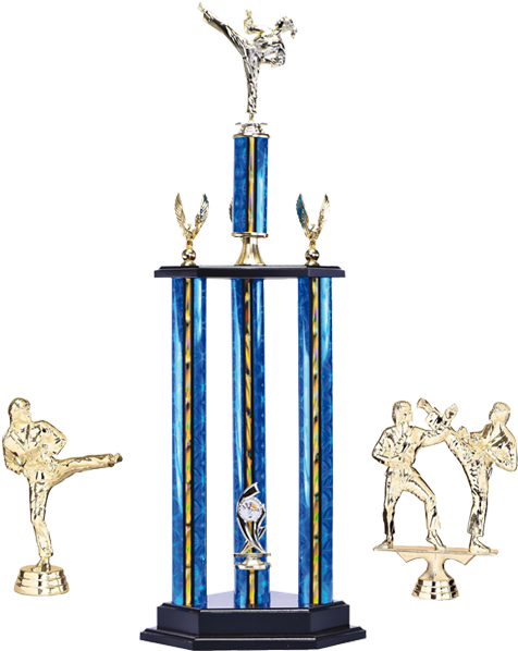 Available With Marble, Wood & Plastic Bases - Trophy (530x635), Png Download