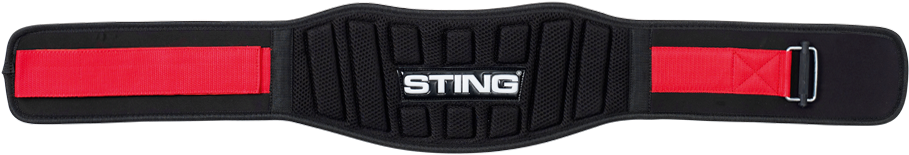 Strap (1000x1000), Png Download