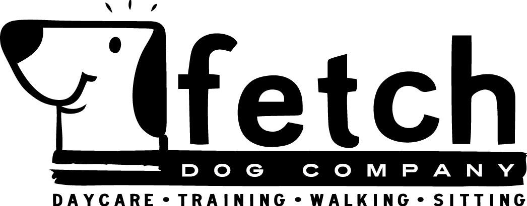 Your Pet's Second Best Friend - Black-and-white (1046x410), Png Download