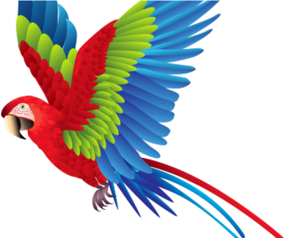 Macaw Clipart Transparent - Colorful Fly Bird Png (640x480), Png Download
