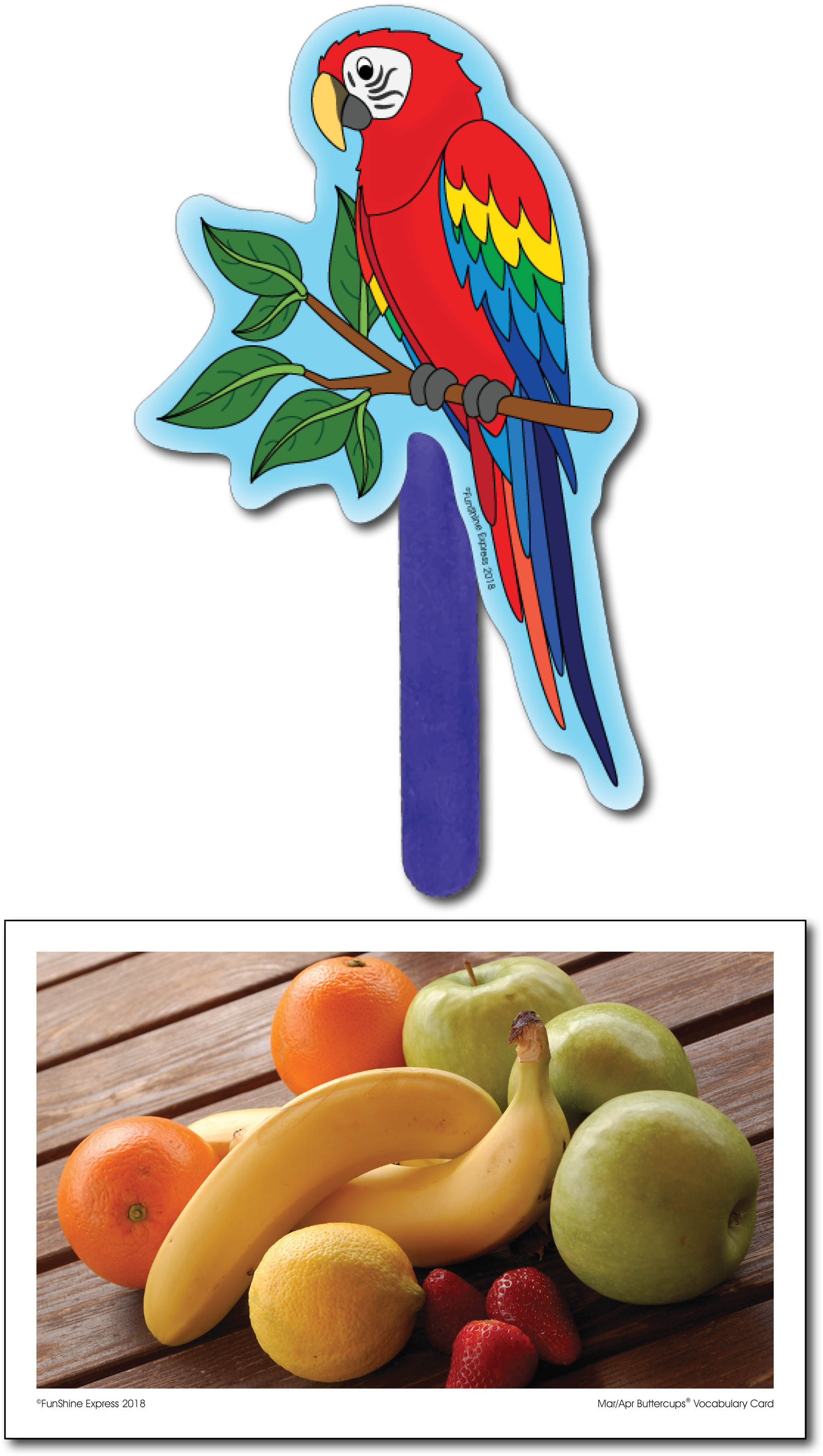 Meet Madison Macaw - Apricot (2550x3301), Png Download