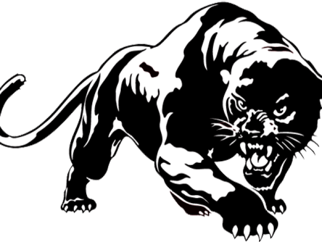 Original - Black And White Panther (640x480), Png Download