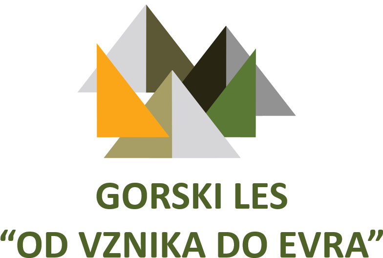 Whose Main Aim Will Be To Establish A Wood Value Chain - Graphic Design (892x599), Png Download