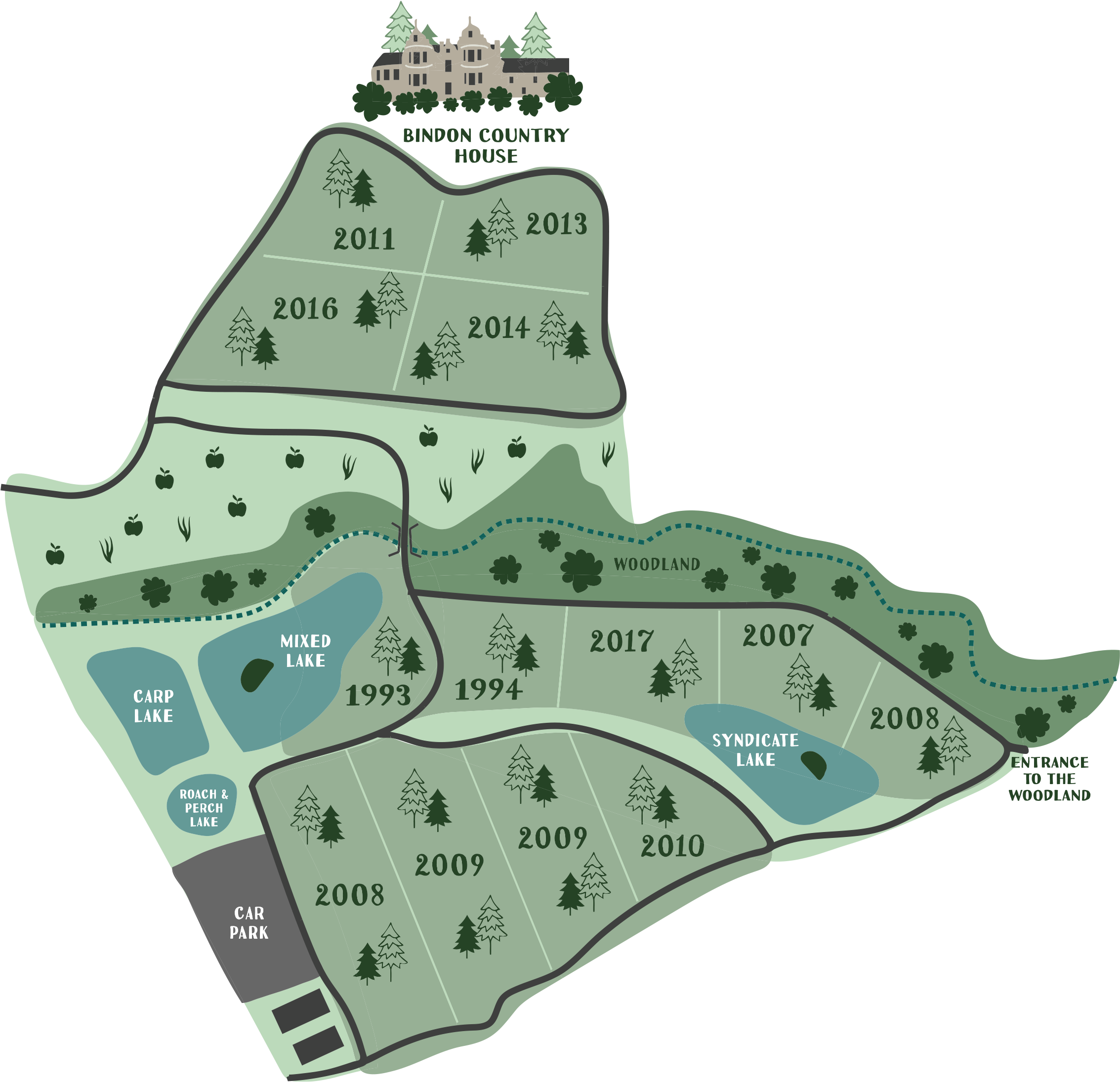 Tree Plantations - Christmas Tree (2362x2362), Png Download