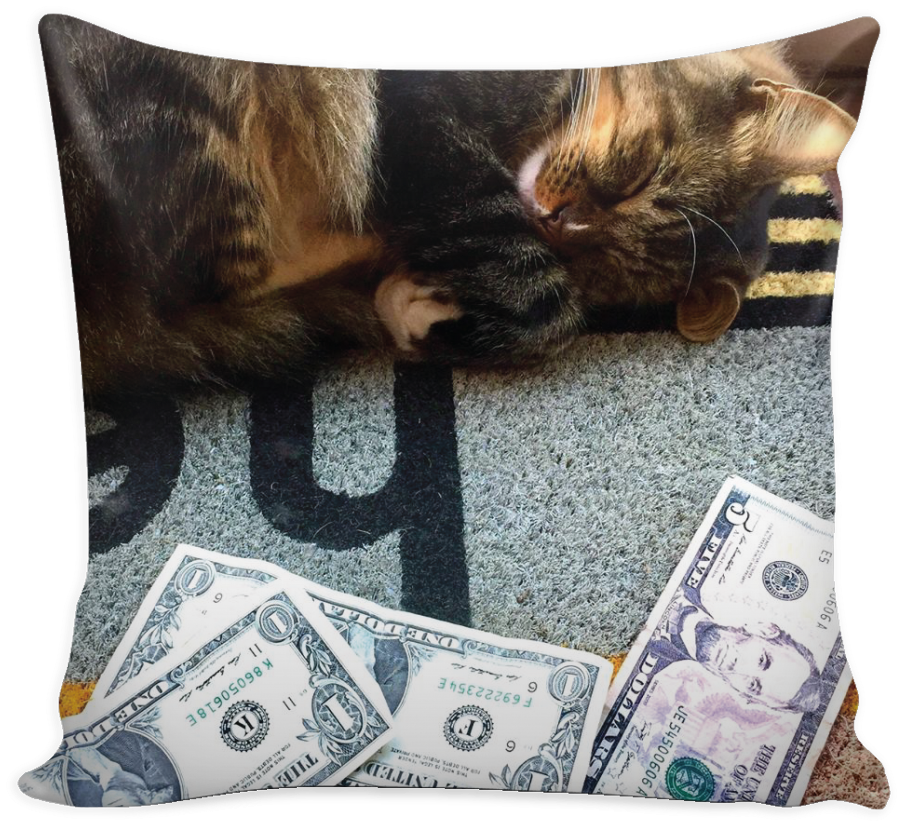 "dreaming Of Money" Pillow Cover - 1 Us Dollar (1024x1024), Png Download