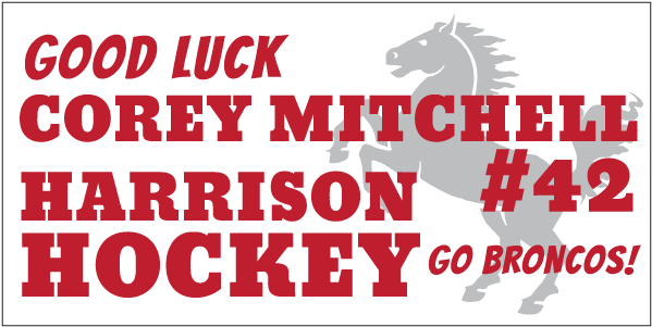 Horse (600x600), Png Download