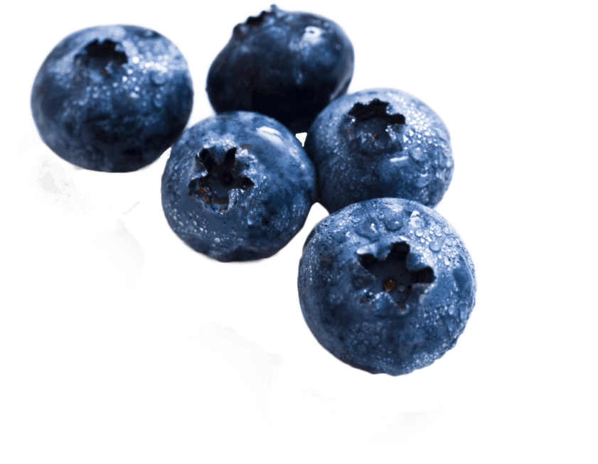 Free Png Download Mary Kay Eye Spa Png Images Background - Burt's Bees Blueberry Dark Chocolate (850x756), Png Download