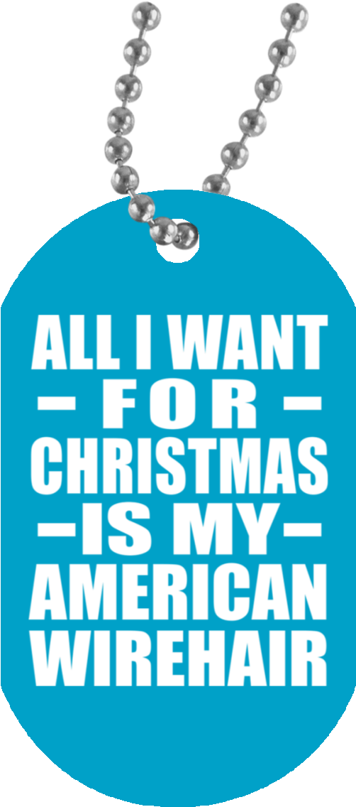 Load Image Into Gallery Viewer, All I Want For Christmas - Dog Tag (1155x1155), Png Download