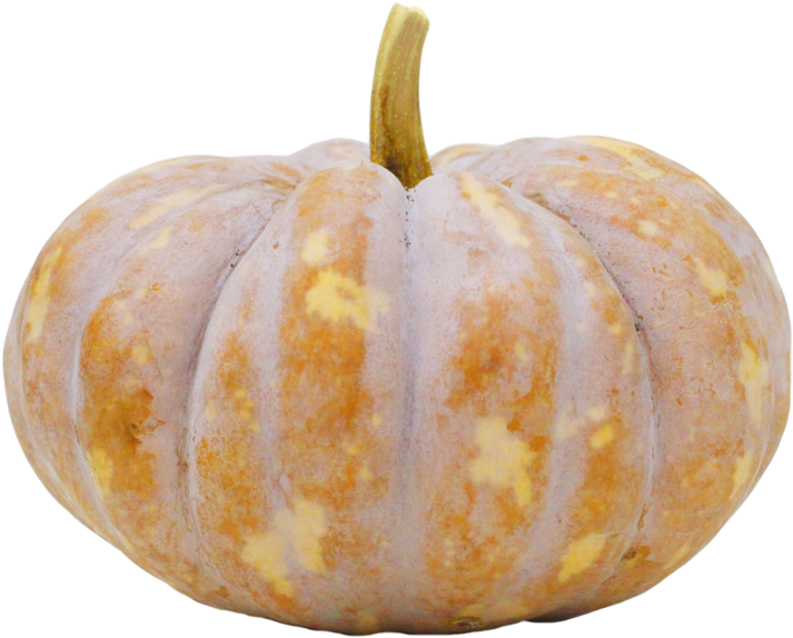 Pumpkin (866x650), Png Download
