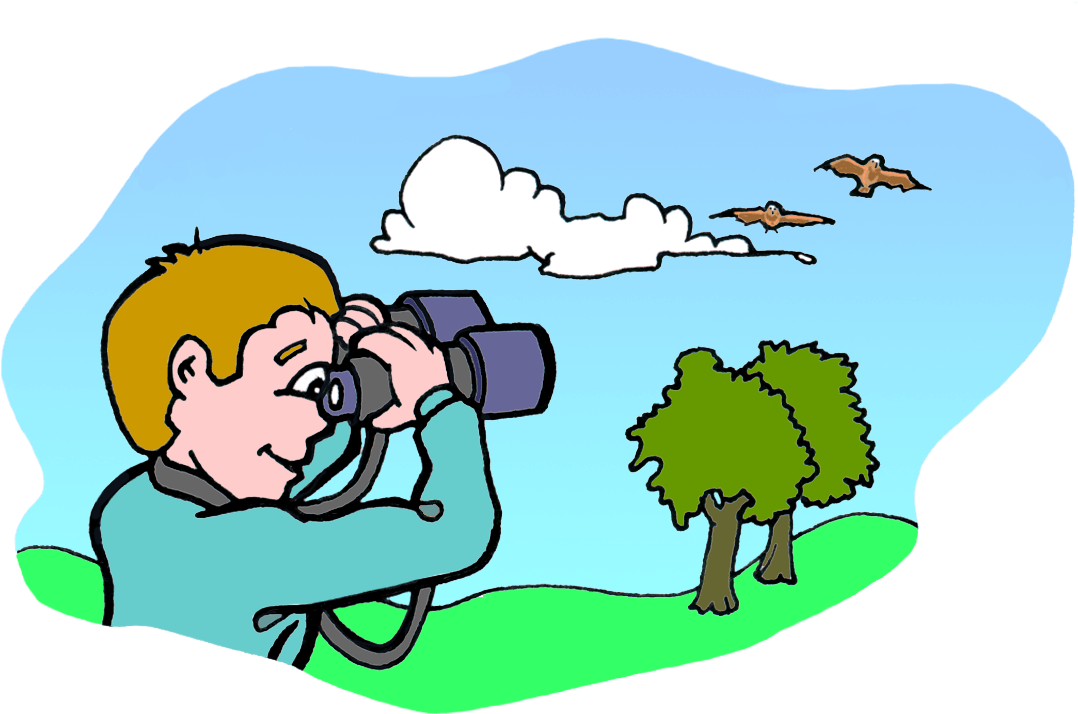 Ology, Science For Kids Graphic Transparent Library - Scientific Method Word Wall Pdf (1100x750), Png Download