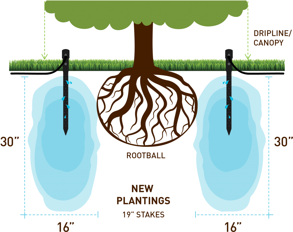 Some Customers Have Even Experienced More Fruit Yield, - Mouse (1024x841), Png Download