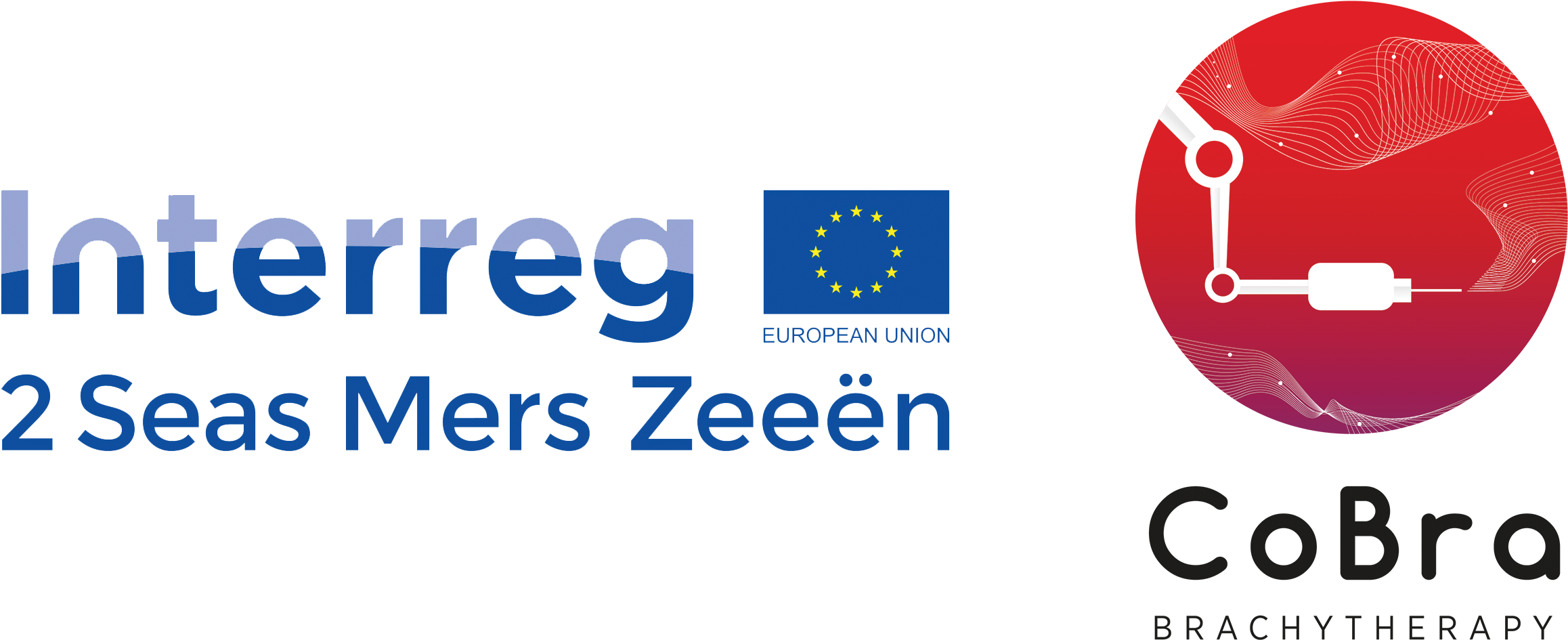 Cobra Technical Workshop On Brachytherapy - Interreg (2589x1232), Png Download