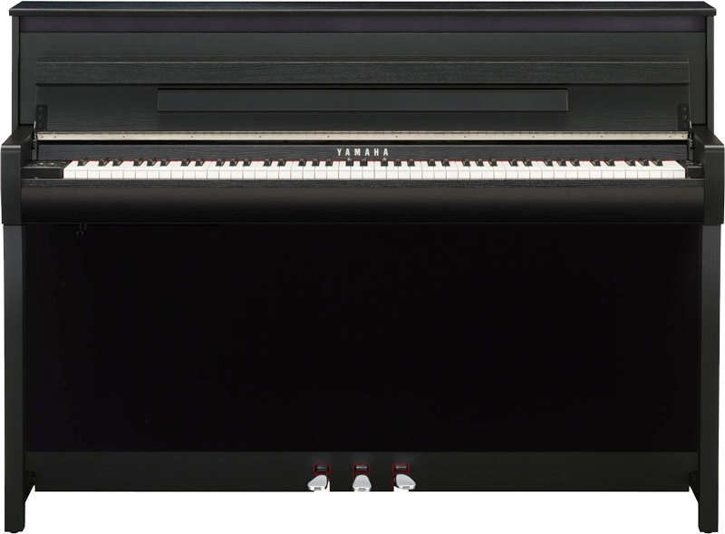 See Our Entire Selection - Digital Piano (800x590), Png Download