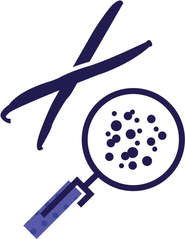 Seed - Circle (1100x1100), Png Download