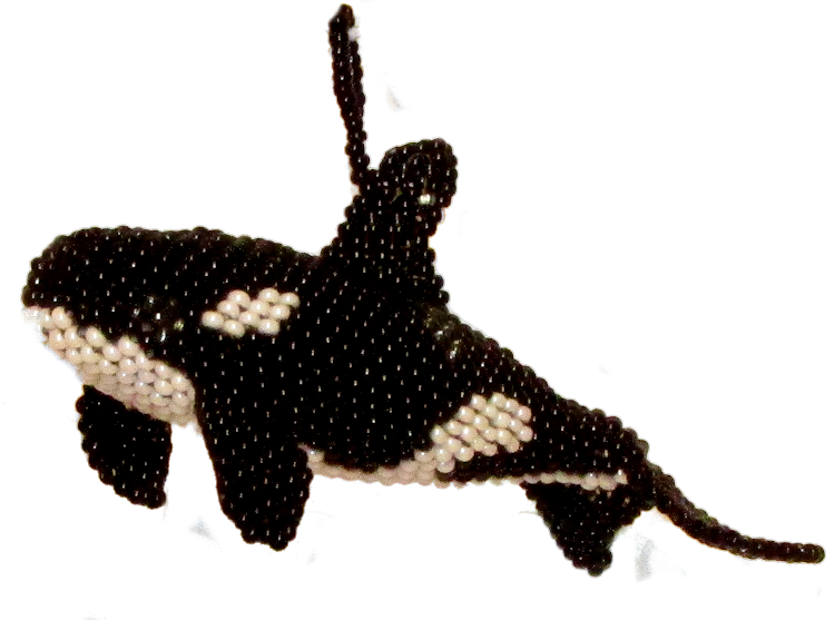 Loading Zoom - Killer Whale (750x557), Png Download