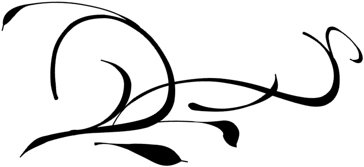 Swirl-33304 - Navy Blue Floral Border Png (855x851), Png Download