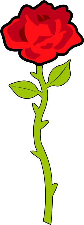Single Rose Png Clipart - Hybrid Tea Rose (1000x824), Png Download