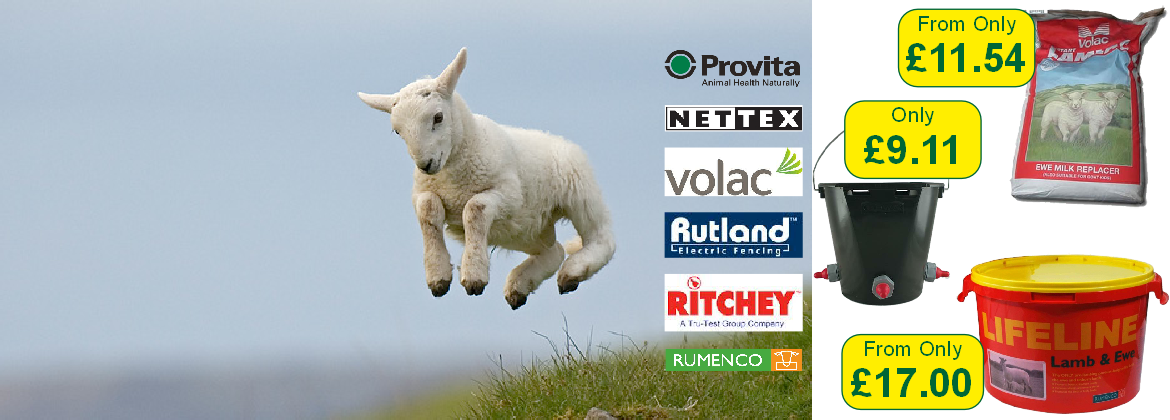 Spring Lambing Essentials - Lamb (1170x420), Png Download