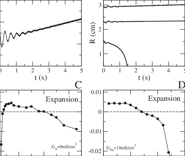 Radius Of The Scroll Ring Filament In The Course Of - Diagram (636x537), Png Download