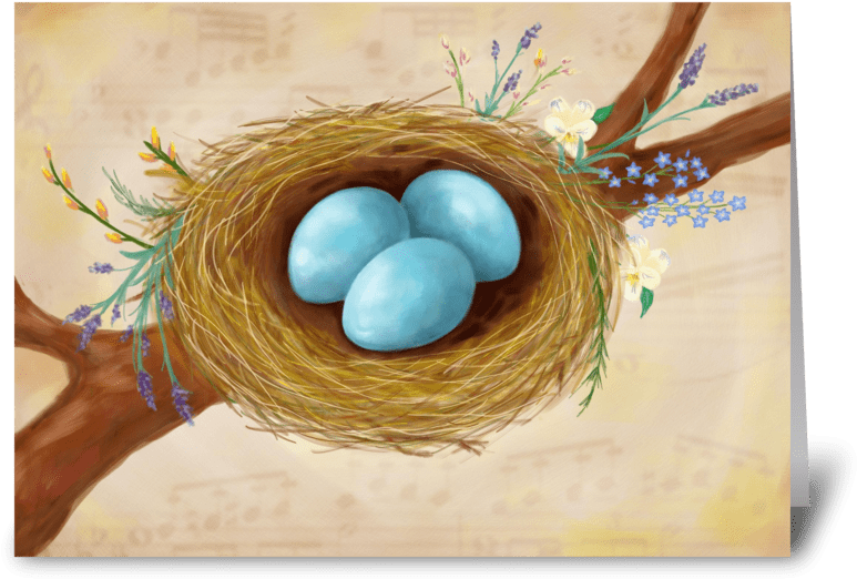 Birds Nest & Flowers Greeting Card - Twig (848x698), Png Download