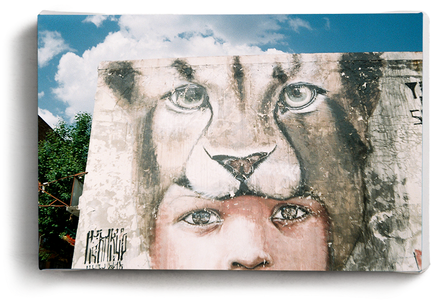 Canvas Print Lion Child - Still Life (1000x1000), Png Download